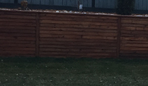 Cedar Decorated concrete Retaining Wall By Amber Rose